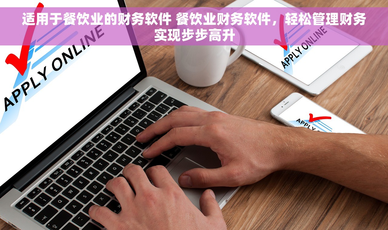 适用于餐饮业的财务软件 餐饮业财务软件，轻松管理财务实现步步高升