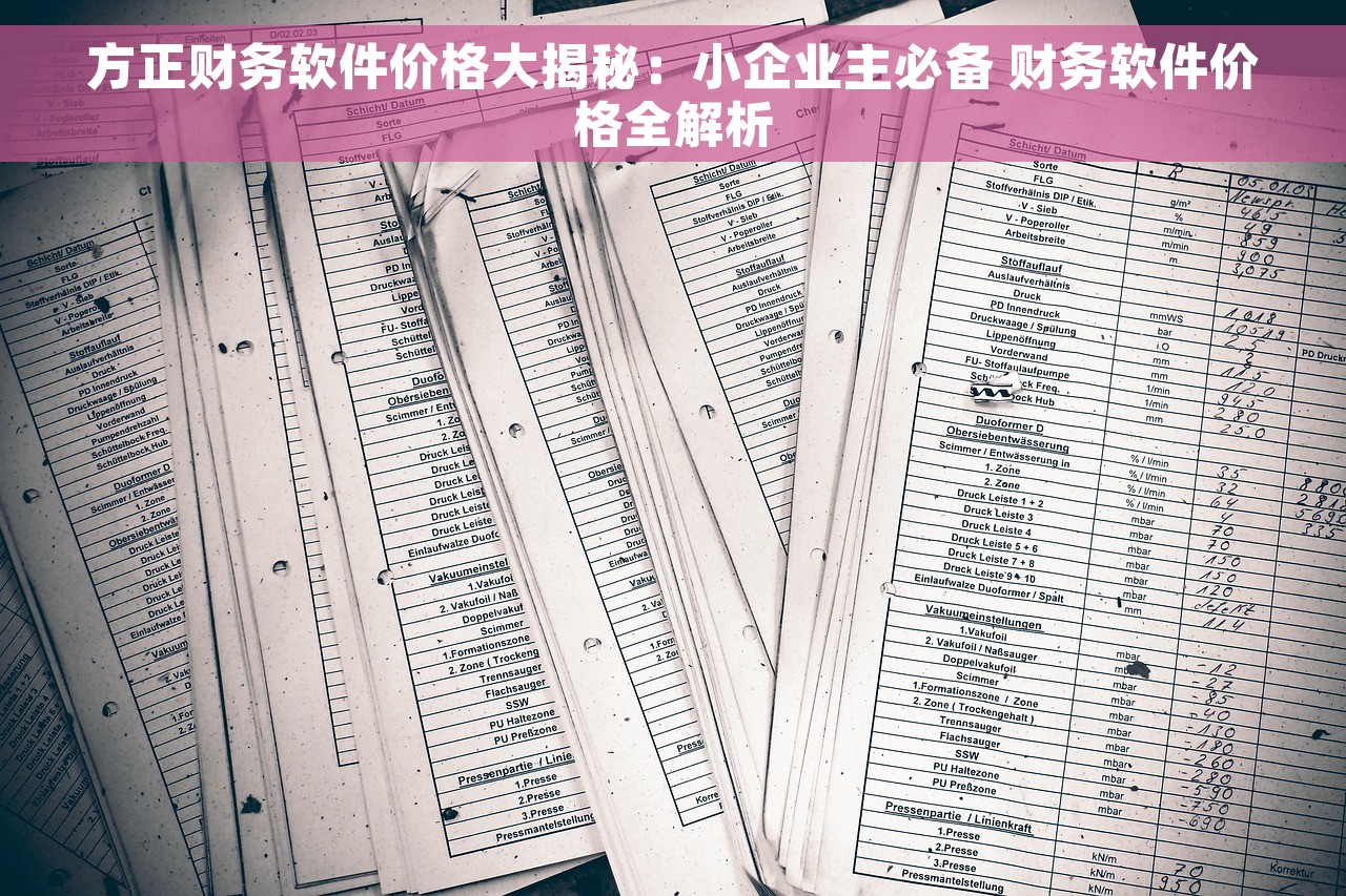 方正财务软件价格大揭秘：小企业主必备 财务软件价格全解析