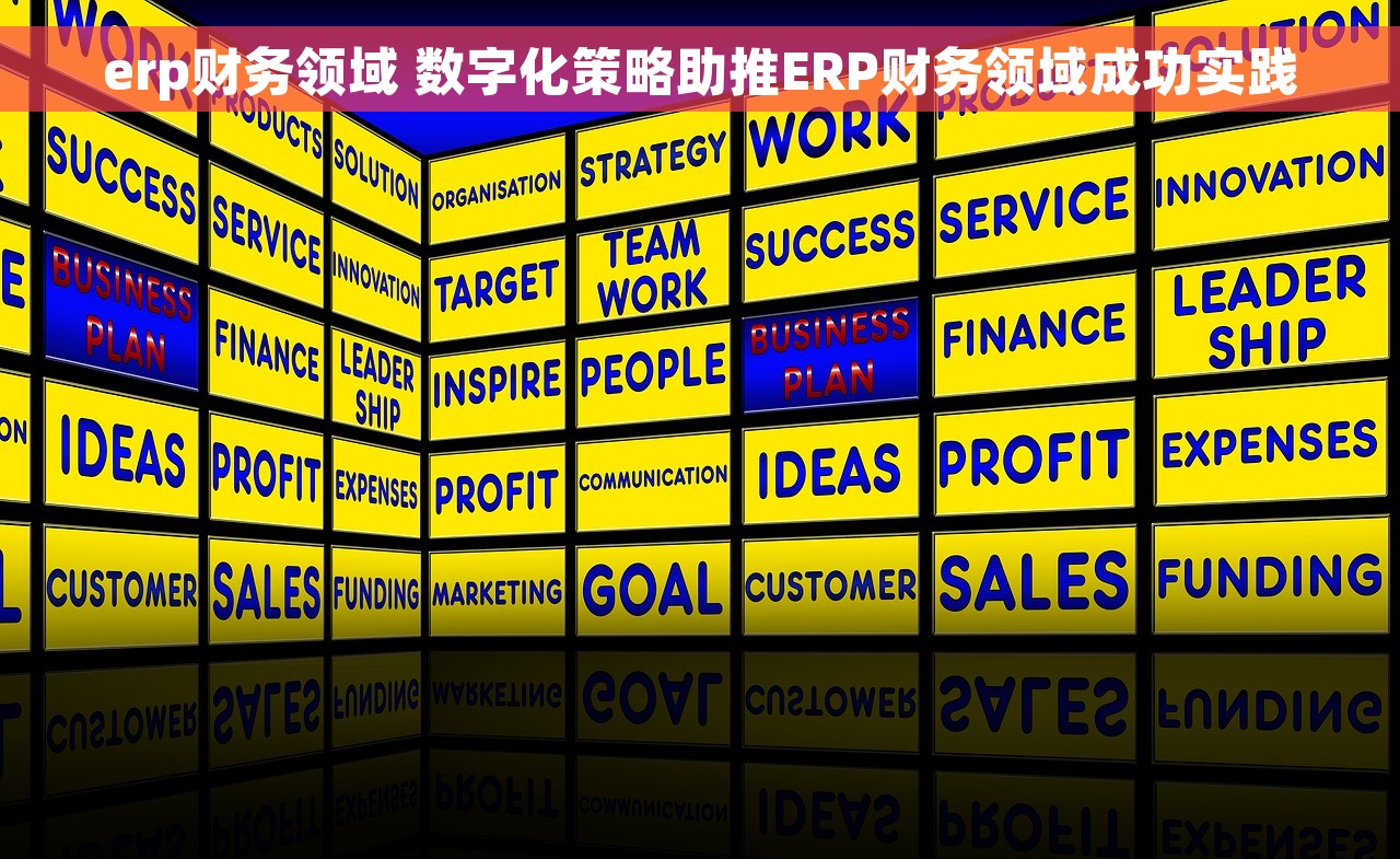 erp财务领域 数字化策略助推ERP财务领域成功实践