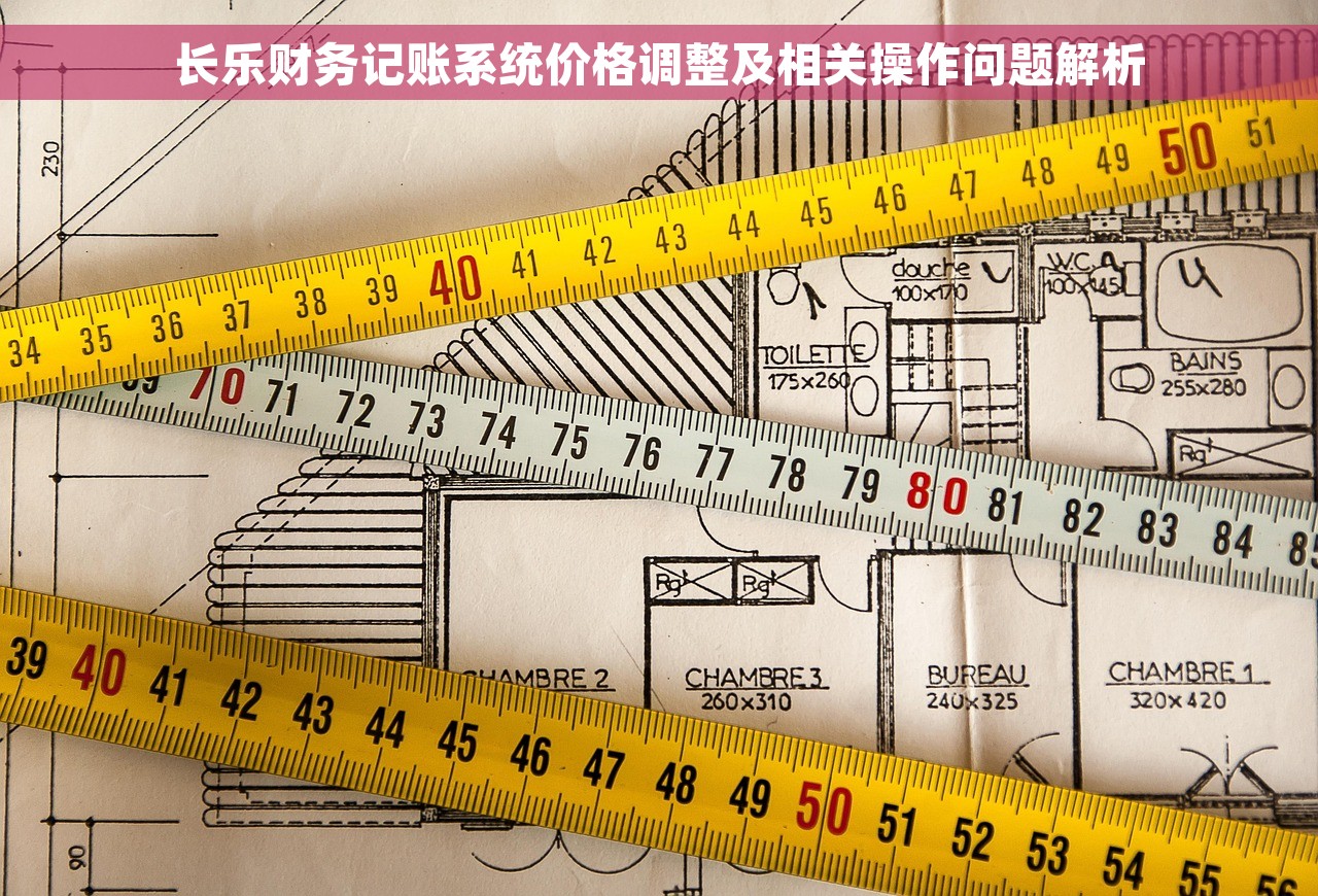 长乐财务记账系统价格调整及相关操作问题解析