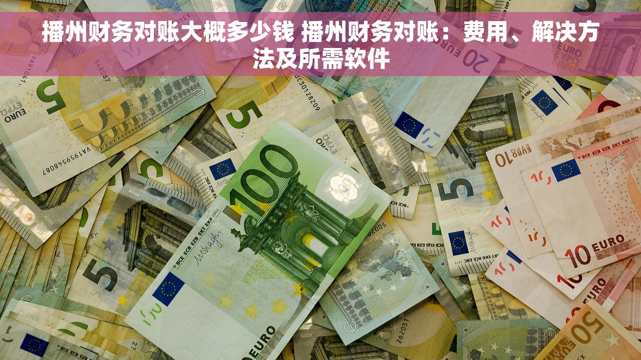 播州财务对账大概多少钱 播州财务对账：费用、解决方法及所需软件
