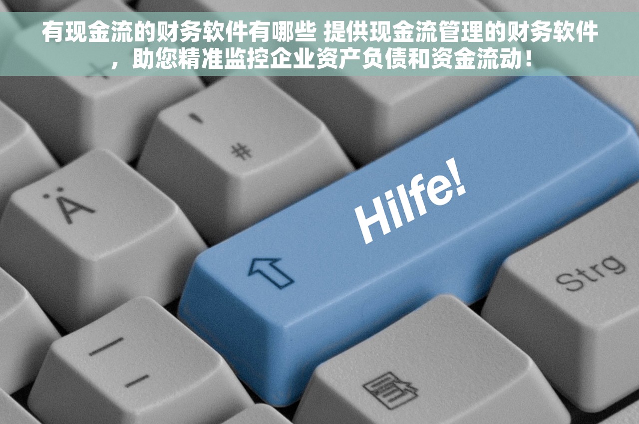 有现金流的财务软件有哪些 提供现金流管理的财务软件，助您精准监控企业资产负债和资金流动！