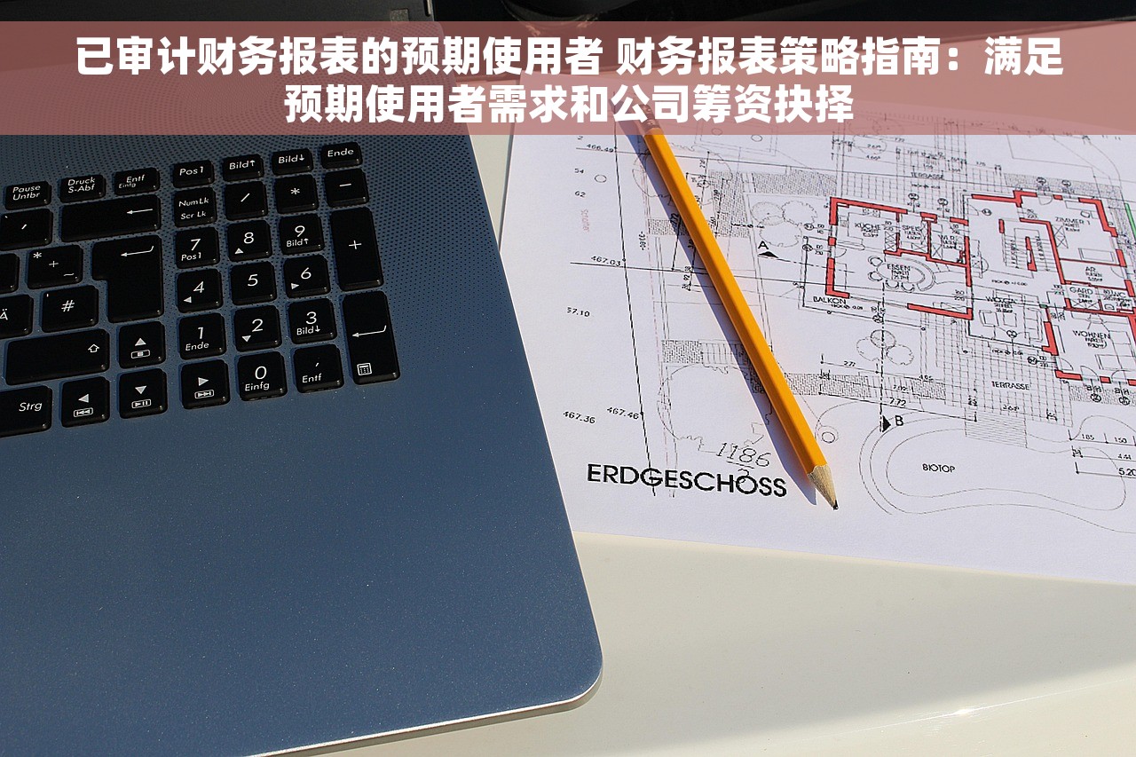 已审计财务报表的预期使用者 财务报表策略指南：满足预期使用者需求和公司筹资抉择