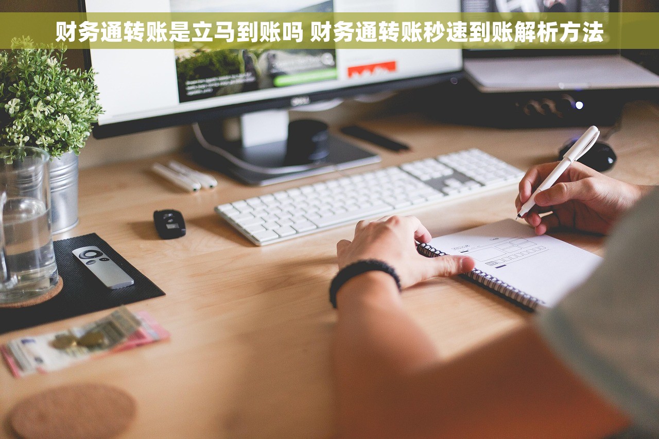 财务通转账是立马到账吗 财务通转账秒速到账解析方法
