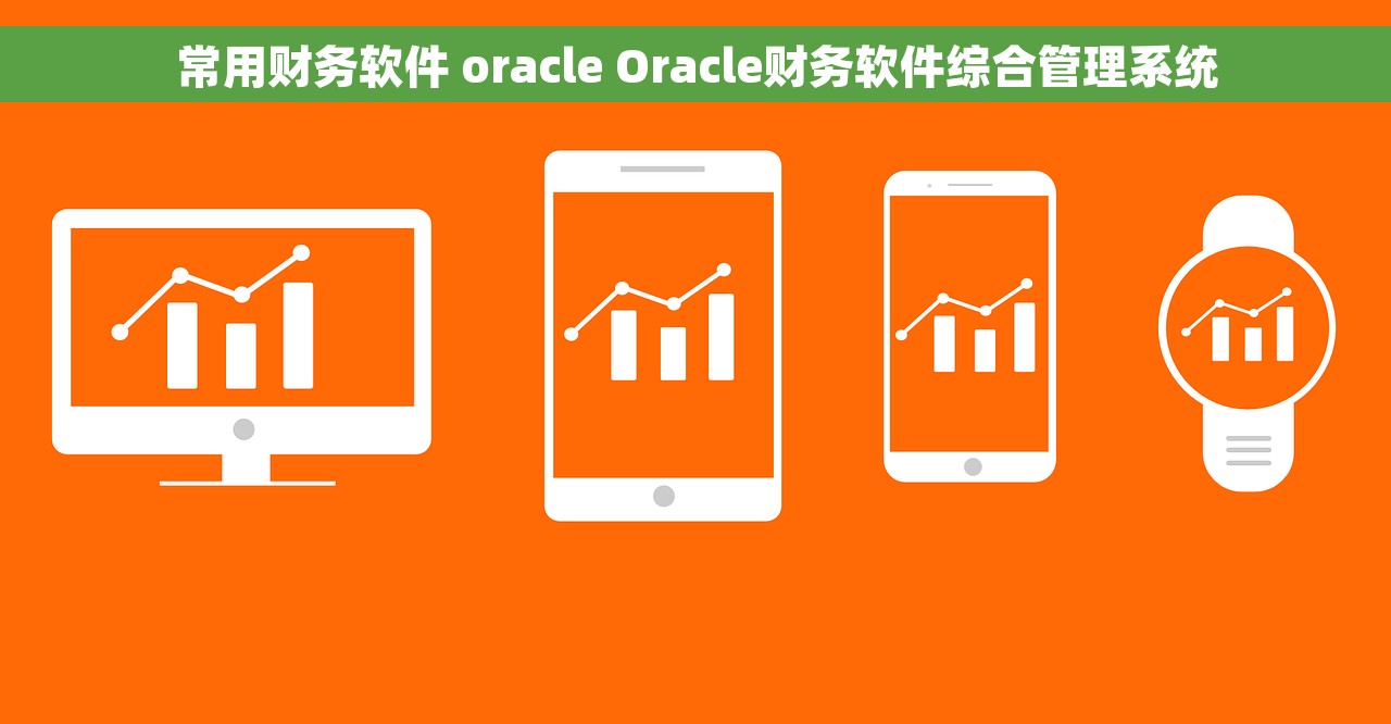 常用财务软件 oracle Oracle财务软件综合管理系统