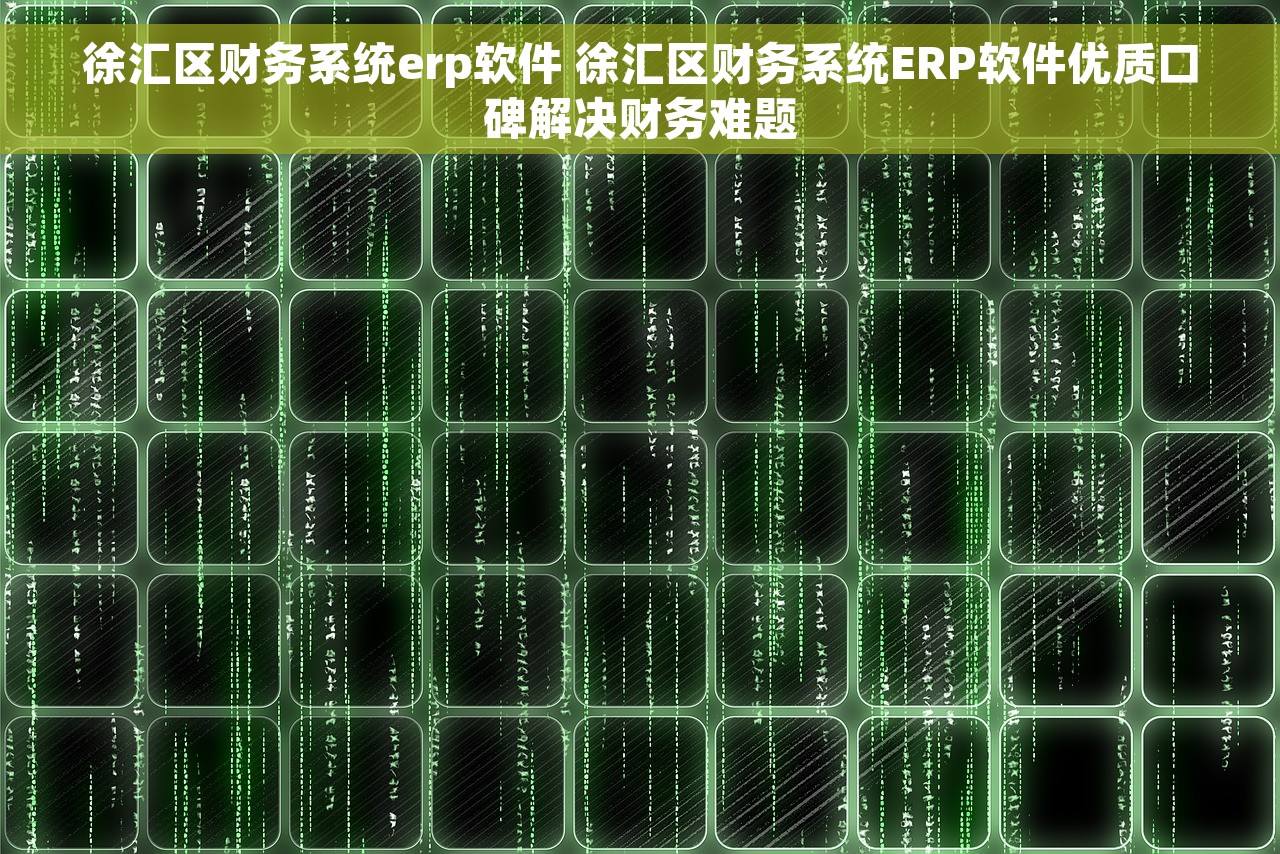 徐汇区财务系统erp软件 徐汇区财务系统ERP软件优质口碑解决财务难题