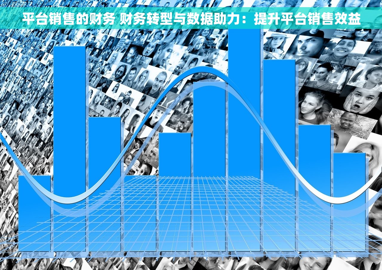 平台销售的财务 财务转型与数据助力：提升平台销售效益