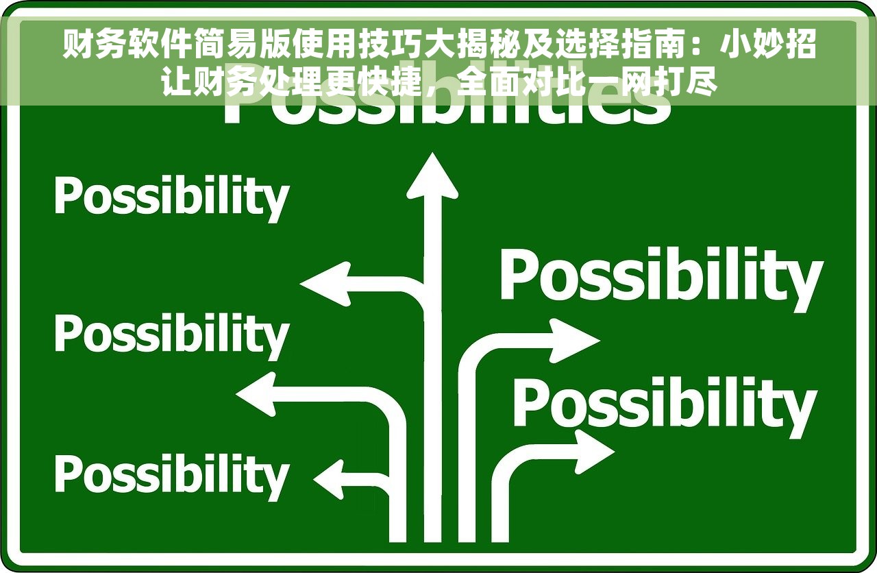 财务软件简易版使用技巧大揭秘及选择指南：小妙招让财务处理更快捷，全面对比一网打尽