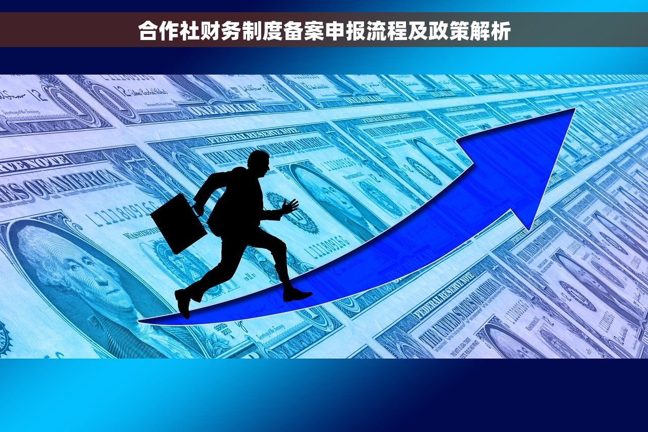 合作社财务制度备案申报流程及政策解析