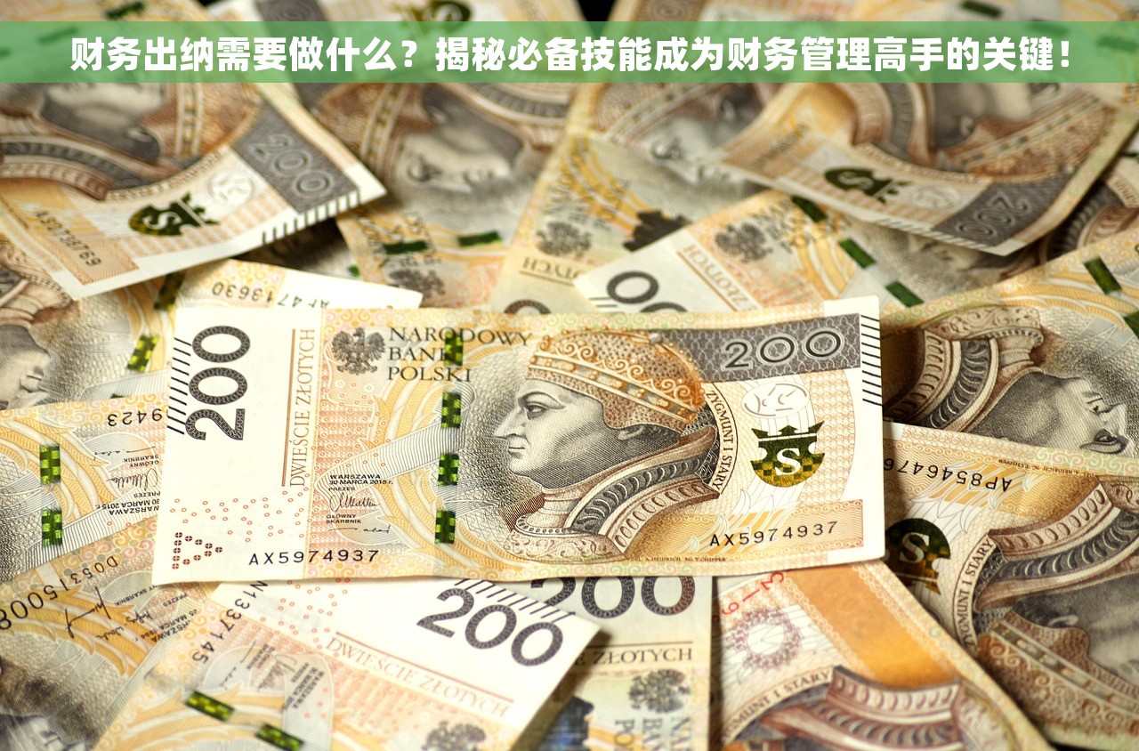 财务出纳需要做什么？揭秘必备技能成为财务管理高手的关键！