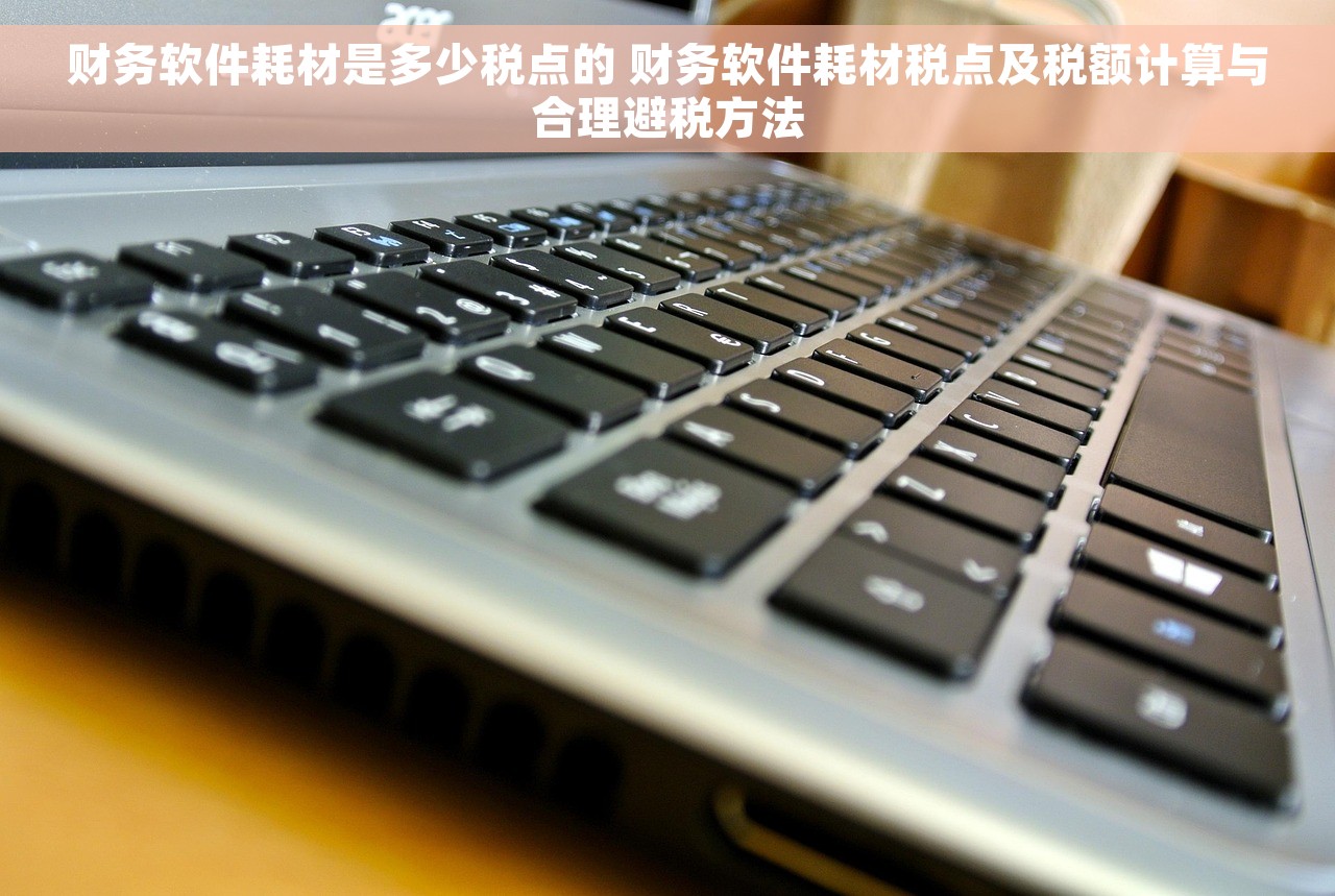 财务软件耗材是多少税点的 财务软件耗材税点及税额计算与合理避税方法