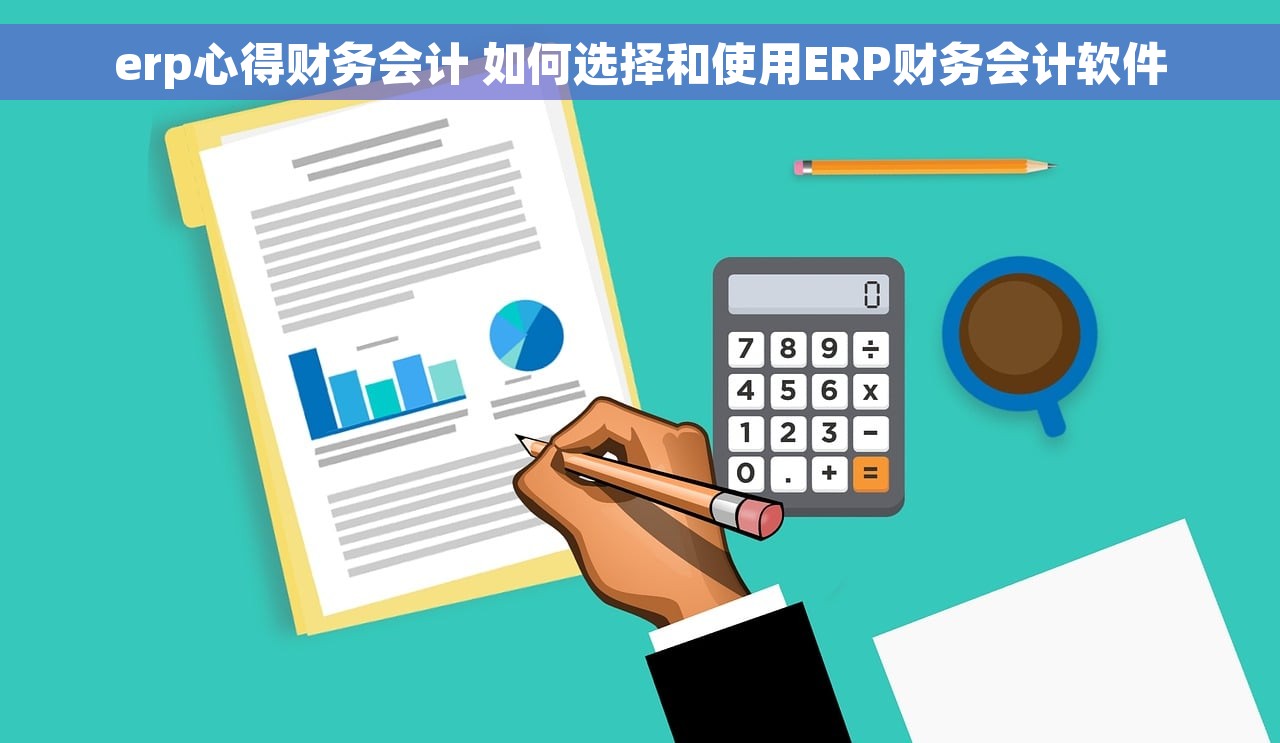 erp心得财务会计 如何选择和使用ERP财务会计软件