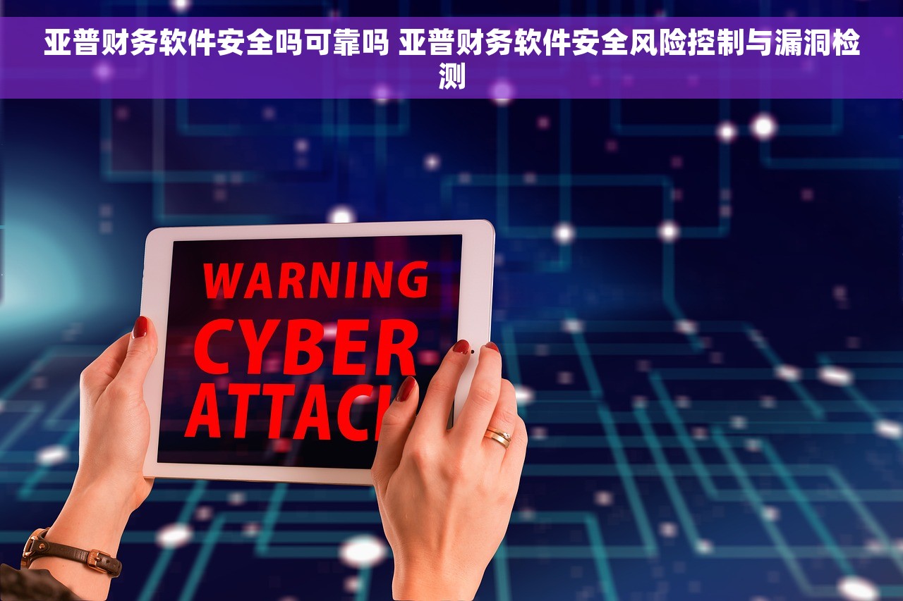 亚普财务软件安全吗可靠吗 亚普财务软件安全风险控制与漏洞检测 亚普财务软件安全吗可靠吗 亚普财务软件安全风险控制与漏洞检测