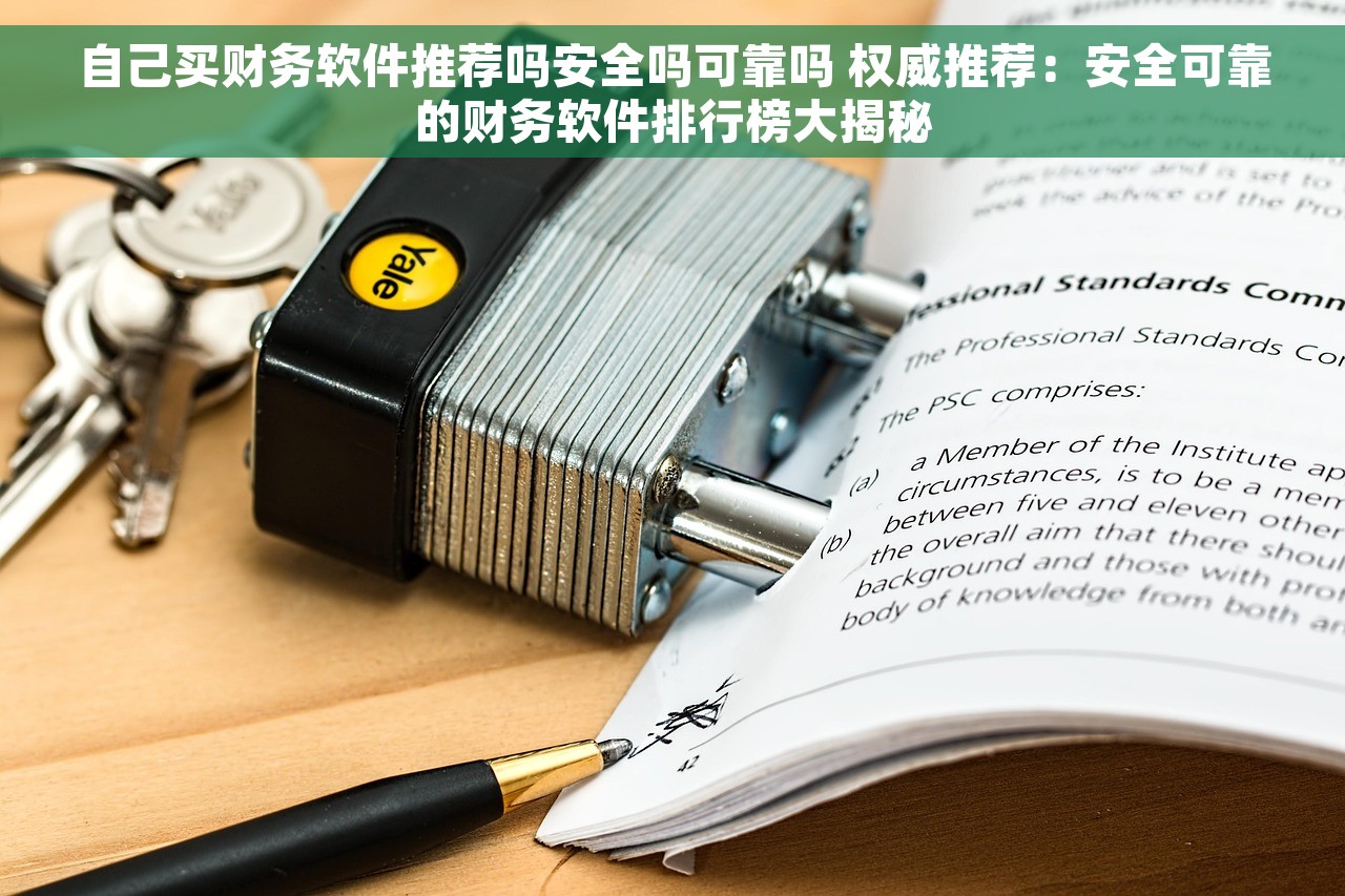自己买财务软件推荐吗安全吗可靠吗 权威推荐：安全可靠的财务软件排行榜大揭秘