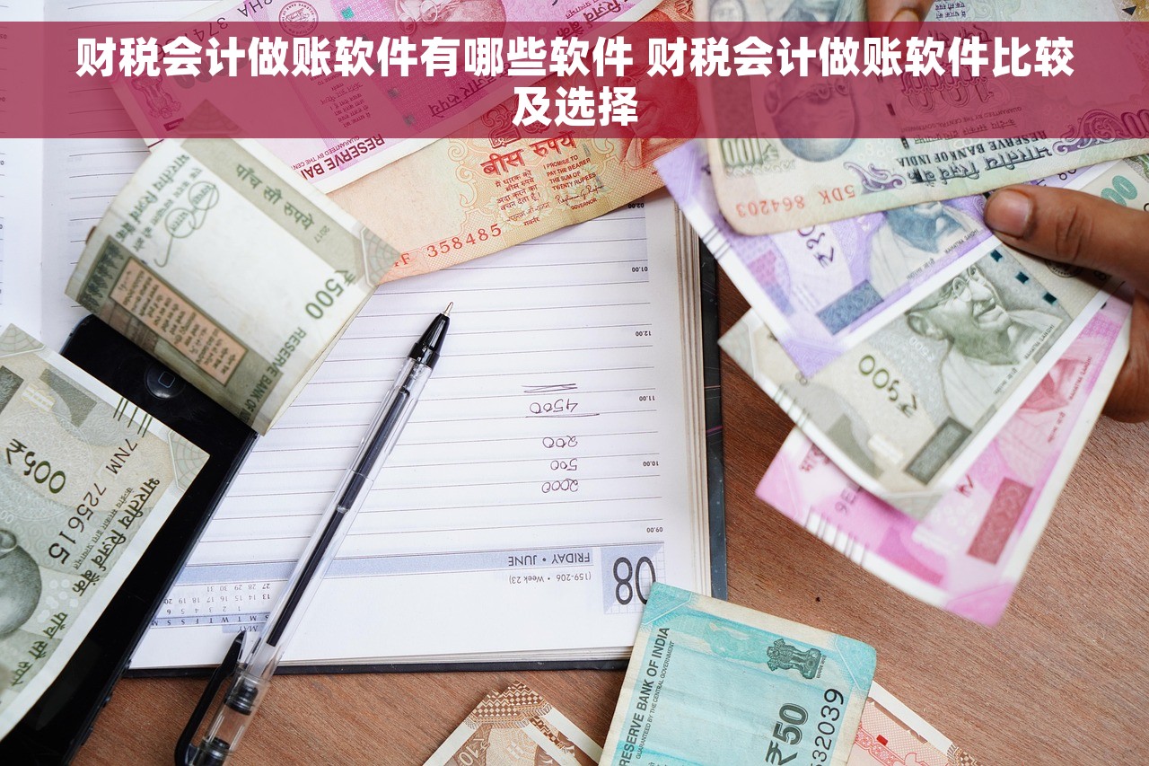 财税会计做账软件有哪些软件 财税会计做账软件比较及选择
