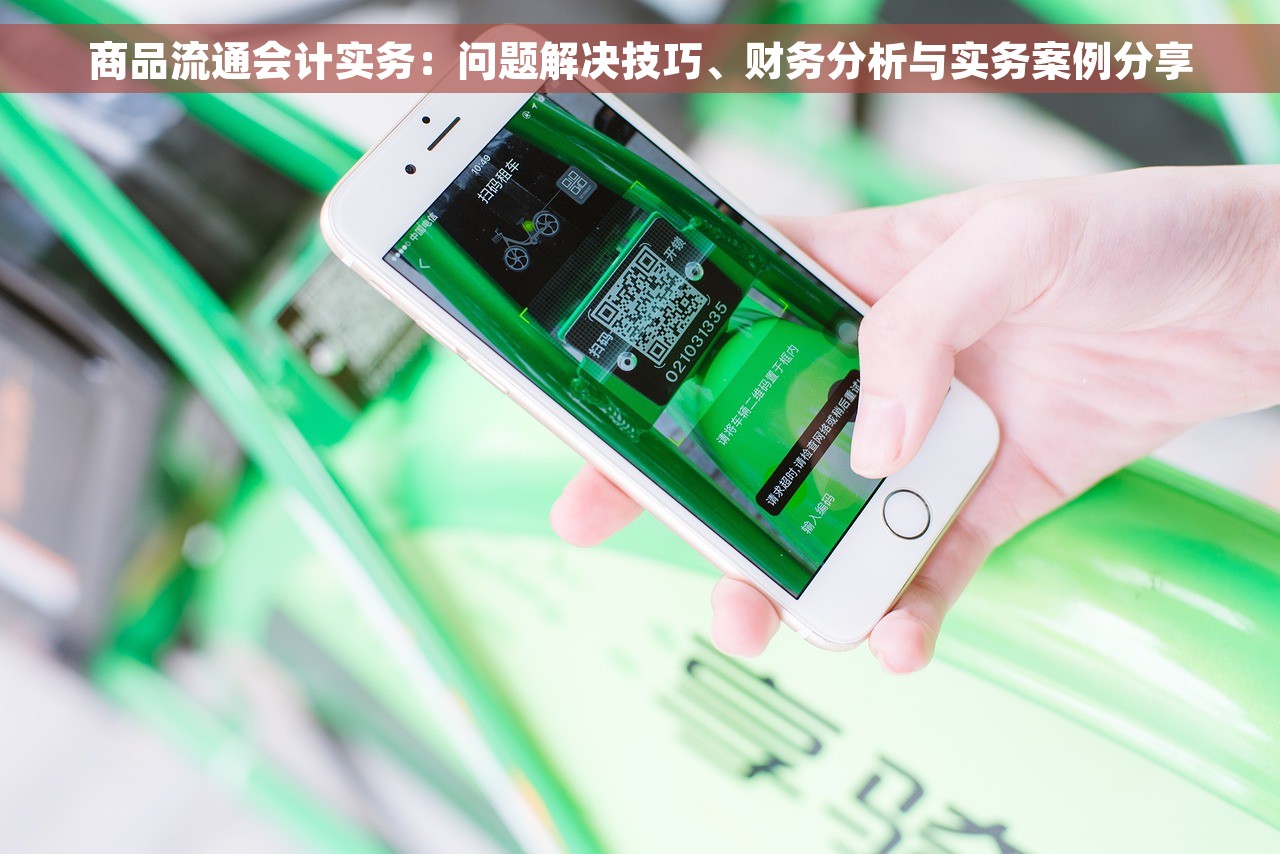 商品流通会计实务：问题解决技巧、财务分析与实务案例分享