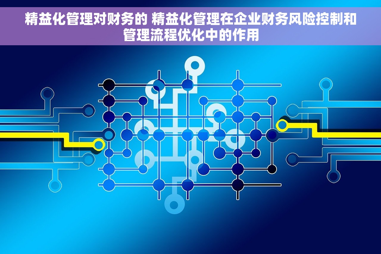 精益化管理对财务的 精益化管理在企业财务风险控制和管理流程优化中的作用