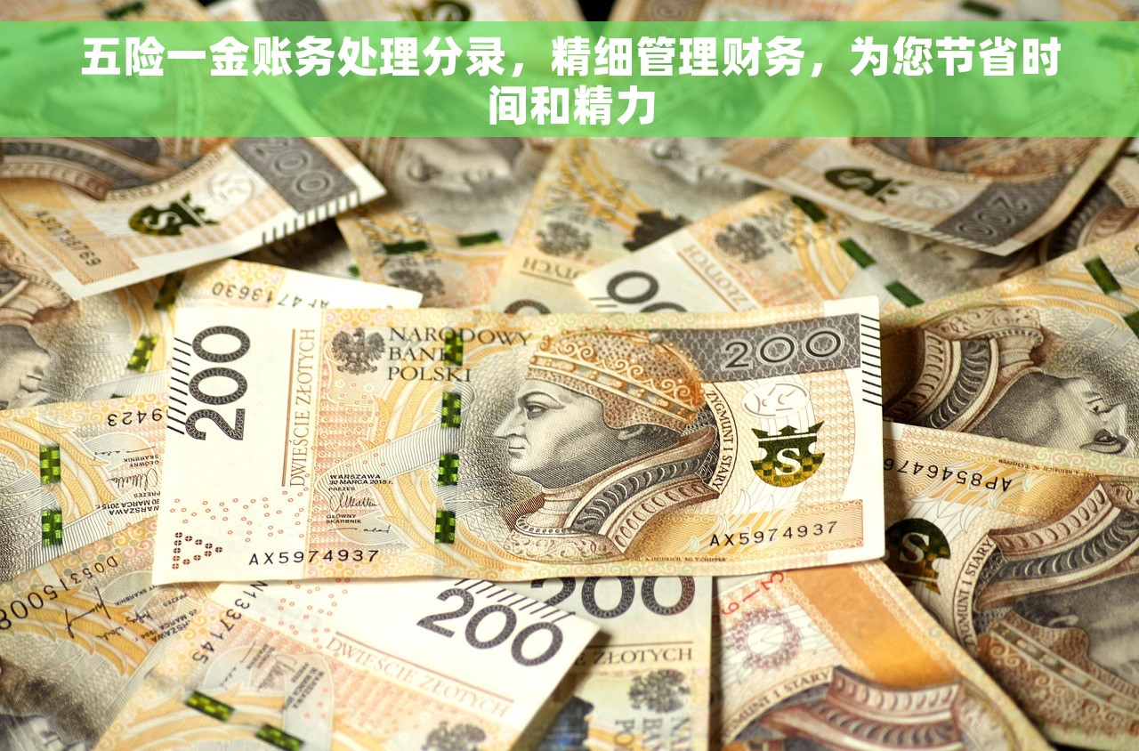 五险一金账务处理分录，精细管理财务，为您节省时间和精力