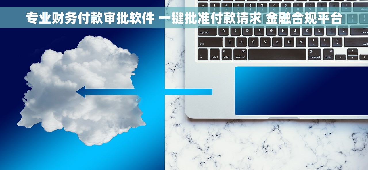 专业财务付款审批软件 一键批准付款请求 金融合规平台