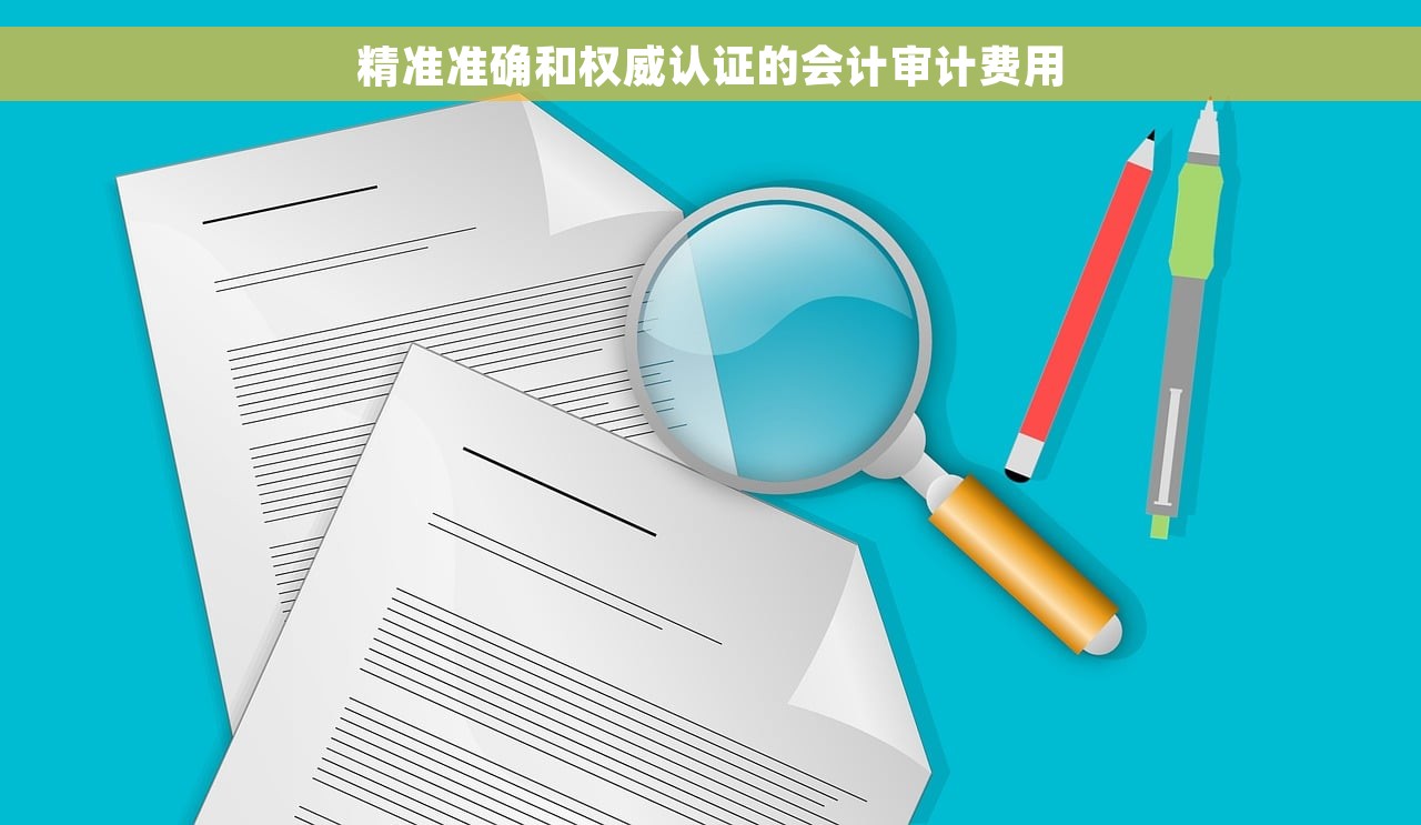 精准准确和权威认证的会计审计费用