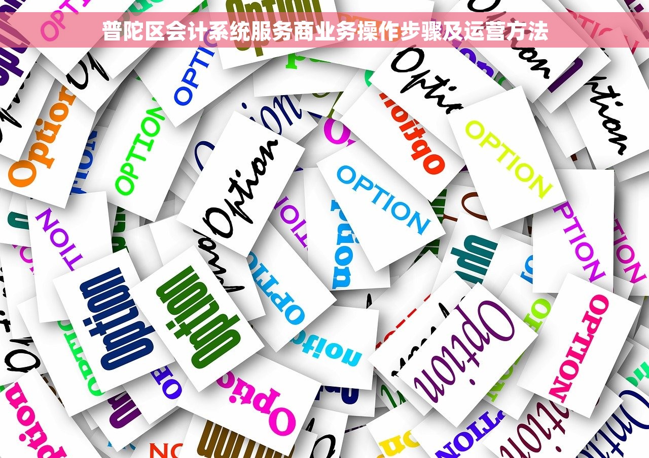 普陀区会计系统服务商业务操作步骤及运营方法